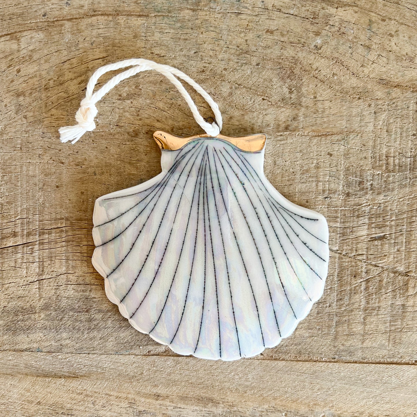 Shell Ornament